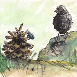 kleine-vogel-300x300