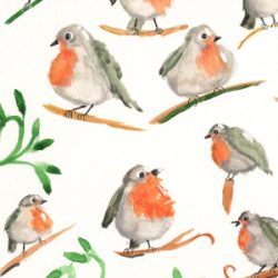 roodborstjes-300x300